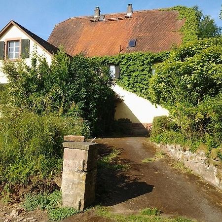 Gastehaus Zum Alten Schulhaus 호텔 밀텐베르크 객실 사진